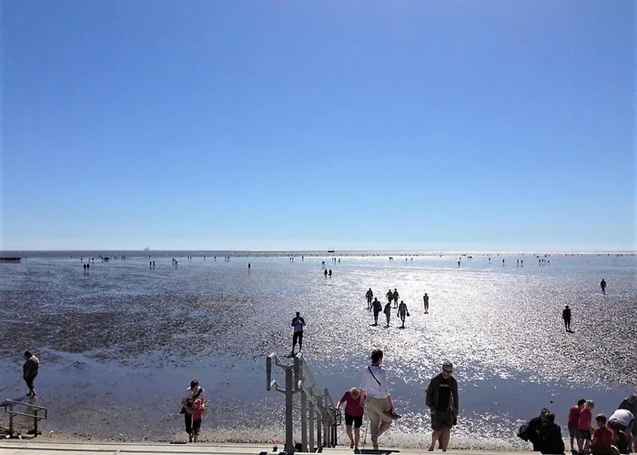 Moewennest Buesum