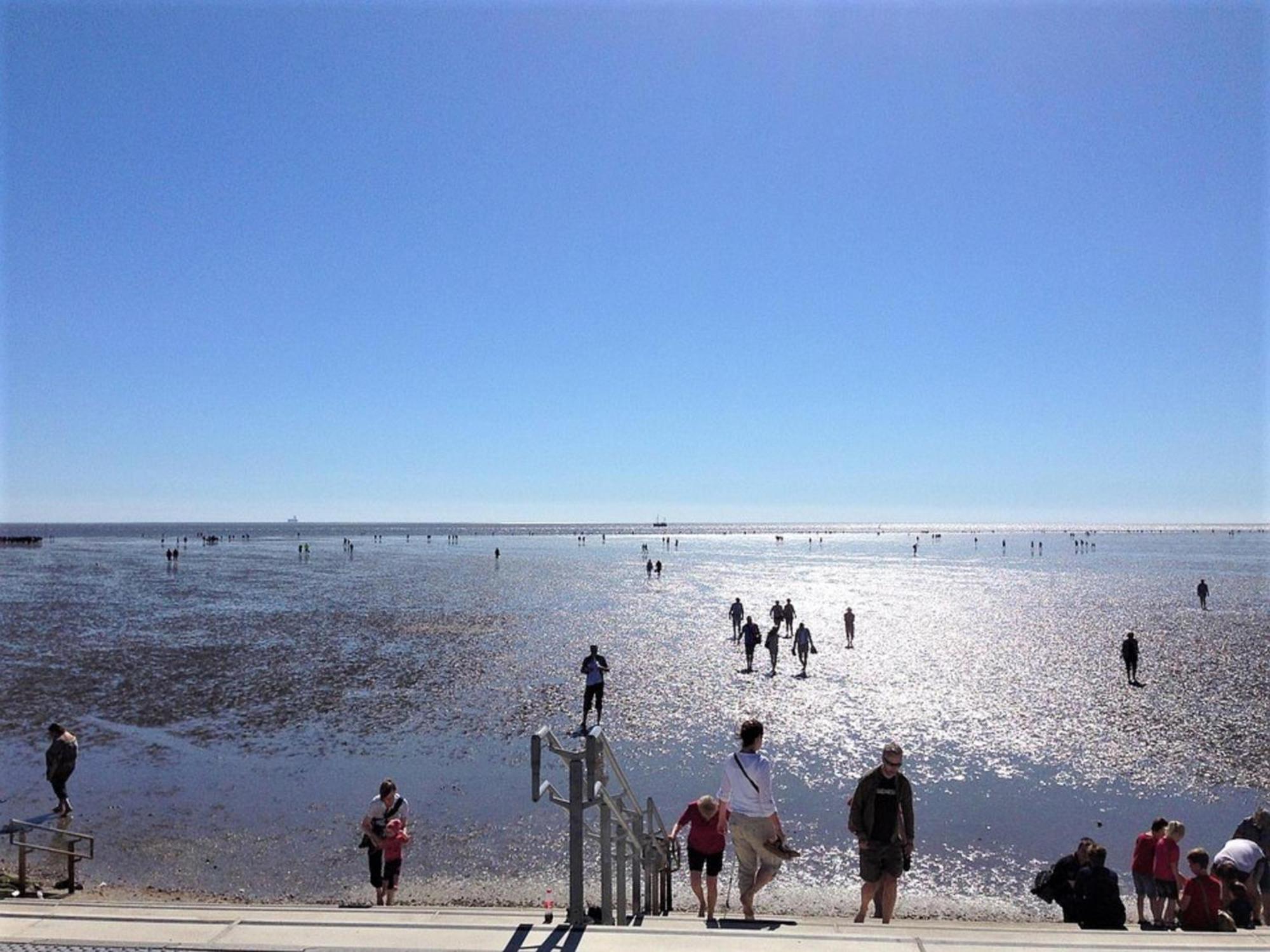 Moewennest * Büsum