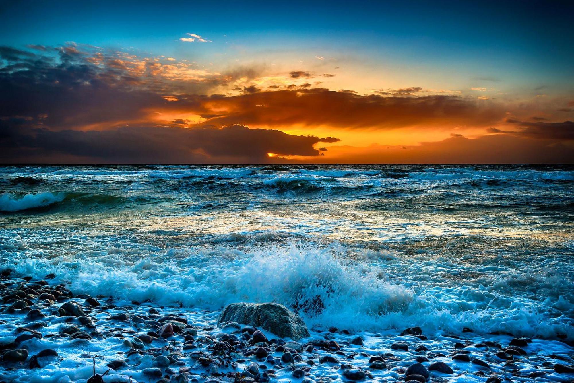 Moewennest * Büsum